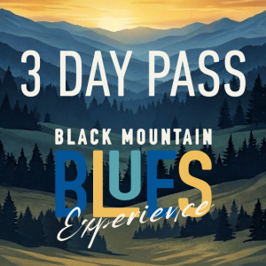 3-DAY PASS